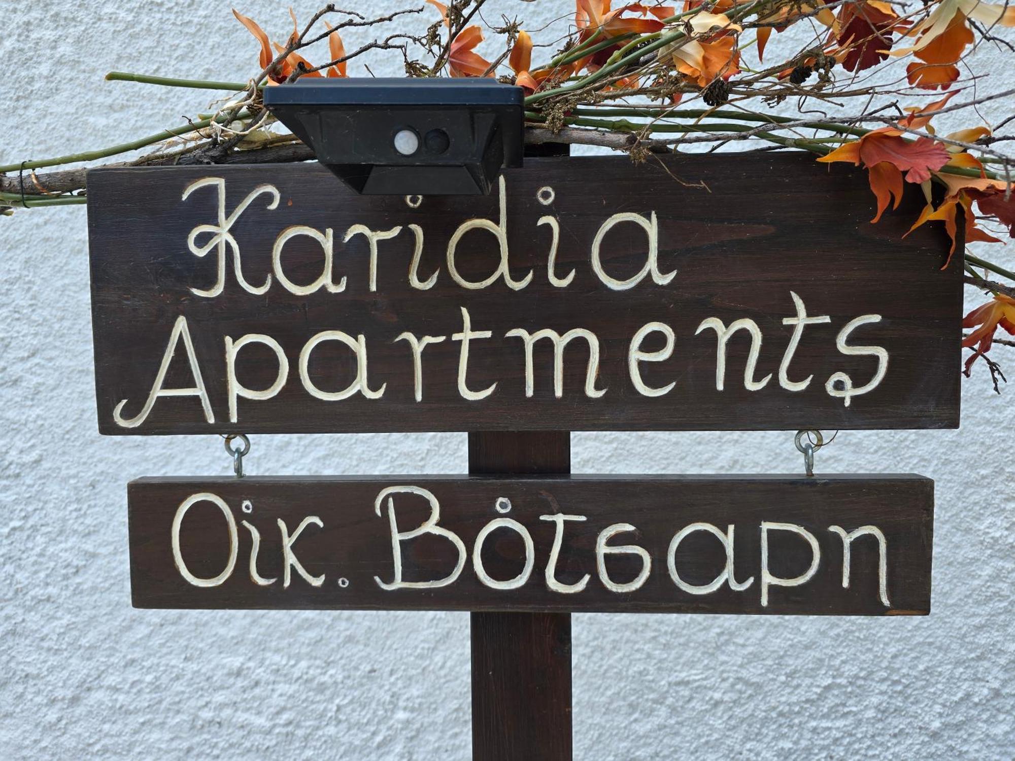 Karidia Apartments キソス エクステリア 写真